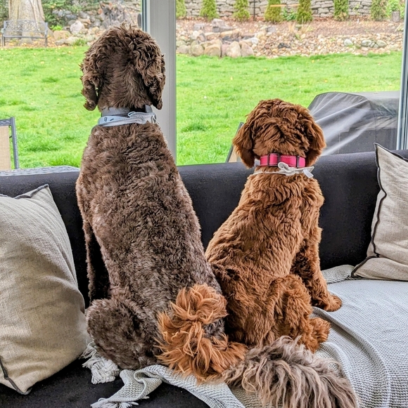 Meet your Posher, Kat - Picture 1 of 1